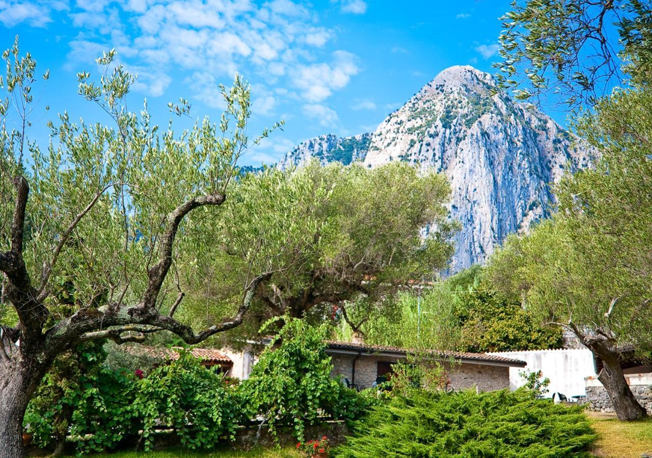 Pie' D'Ulivo Guest House Bosco  Ngoại thất bức ảnh